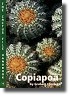 Copiapoa - The Cactus File Handbook 4